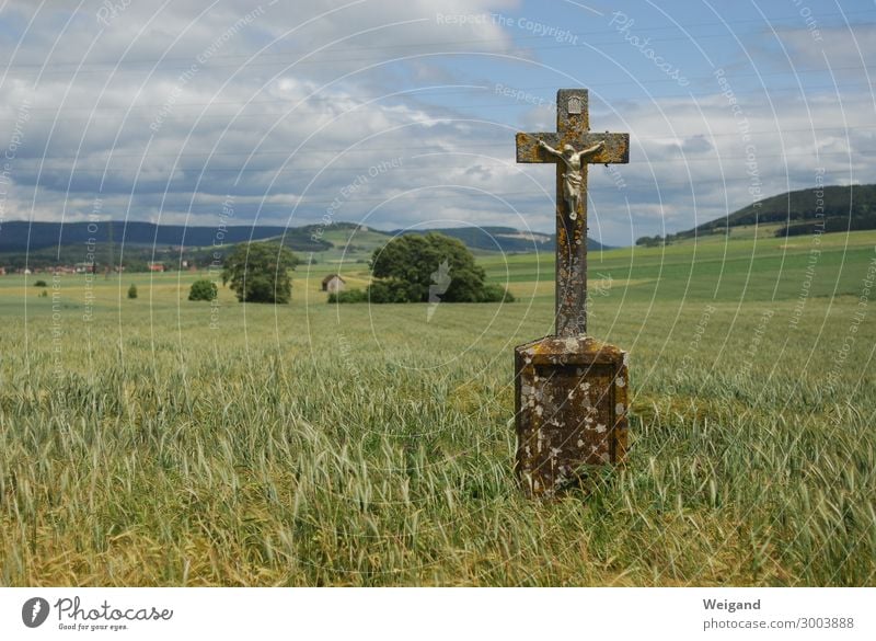 Kreuz Trauerfeier Beerdigung Kirche Stein hängen ruhig Christliches Kreuz Christentum Jesus Christus Gebet Feldkreuz Spiritualität Getreide Farbfoto