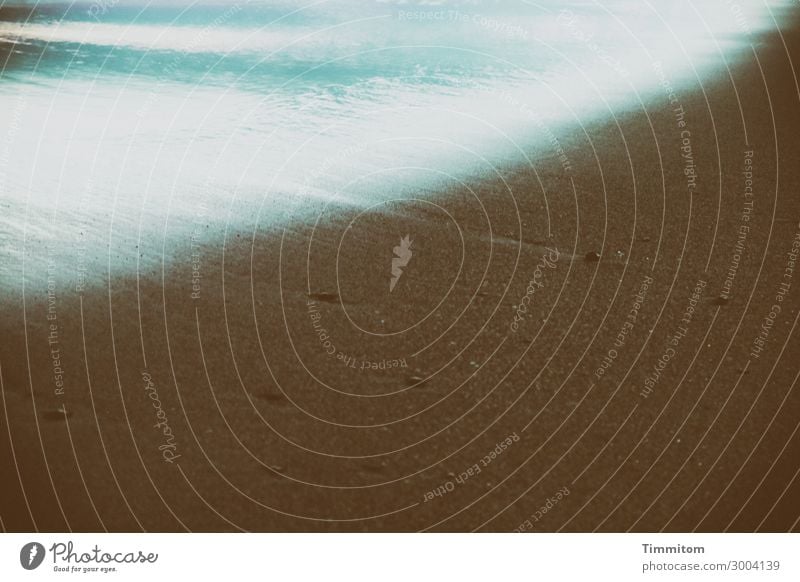 Ein Blick auf die Nordsee Ferien & Urlaub & Reisen Umwelt Natur Urelemente Sand Wasser Frühling Sommer Küste Strand Stein beobachten genießen träumen ästhetisch