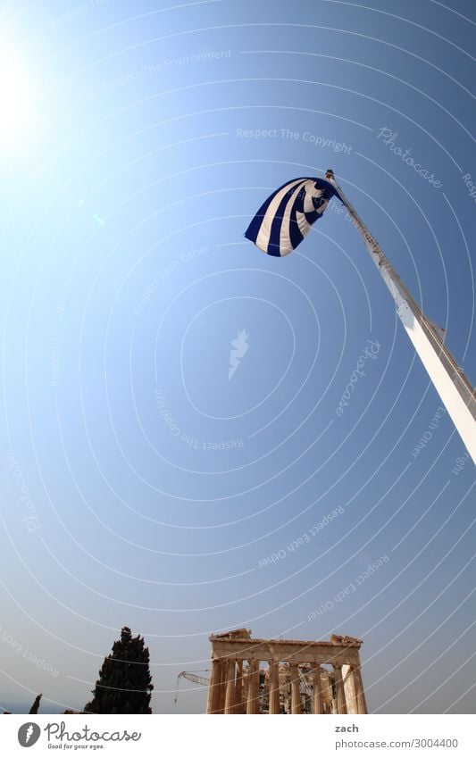 beflaggt Himmel Sommer Schönes Wetter Pflanze Baum Athen Griechenland Hauptstadt Altstadt Palast Ruine Turm Tempel Sehenswürdigkeit Akropolis Fahne Fahnenmast