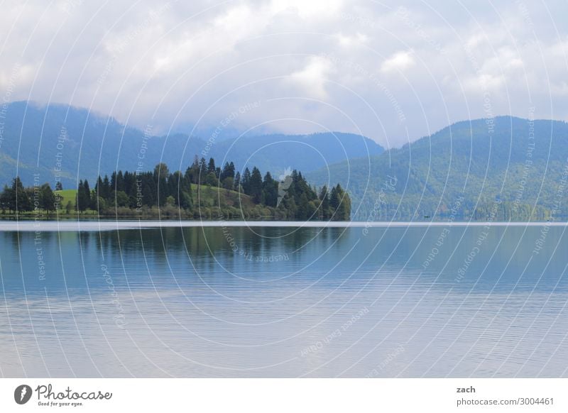 Walchensee Umwelt Natur Landschaft Wasser Himmel Wolken Pflanze Baum Nadelbaum Wald Hügel Alpen Berge u. Gebirge Küste Seeufer Insel Bayern blau Gedeckte Farben