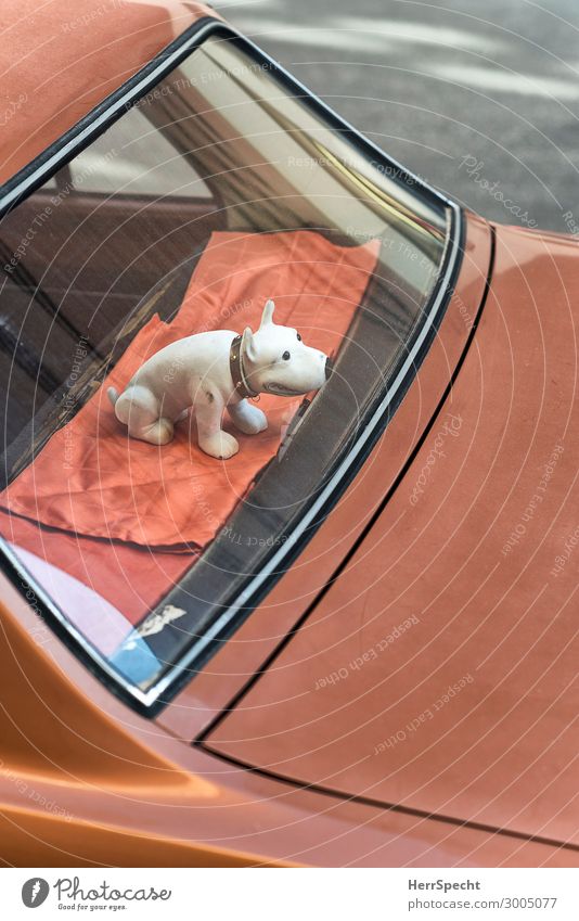 Wackel-Dog Verkehr Verkehrsmittel Autofahren Fahrzeug PKW Oldtimer Tier Hund 1 Metall Kunststoff alt trendy Kitsch niedlich trashig trist wackeln Hutablage