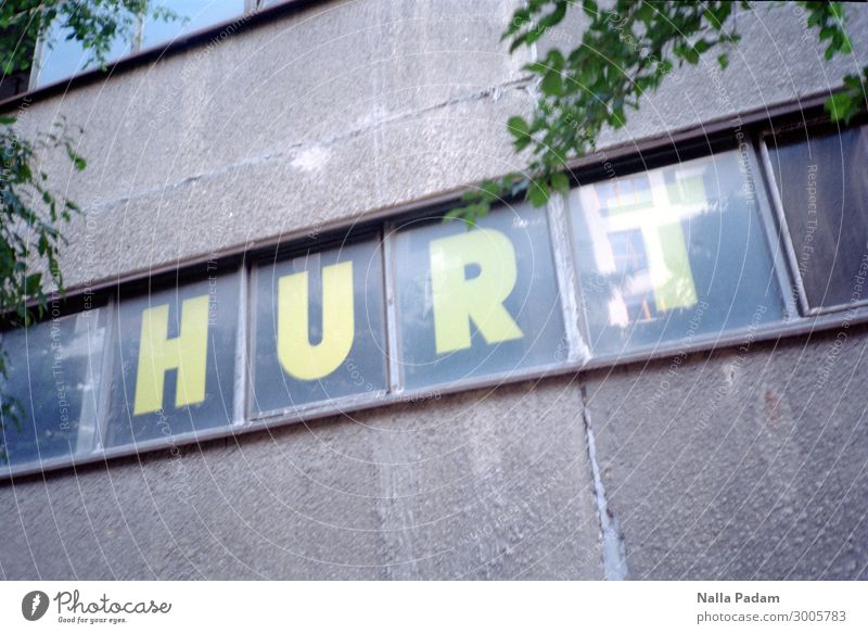 Hurt Krakow Polen Europa Stadt Menschenleer Haus Mauer Wand Fenster Schriftzeichen gelb grau grün Schmerz Englisch Farbfoto Außenaufnahme Textfreiraum oben