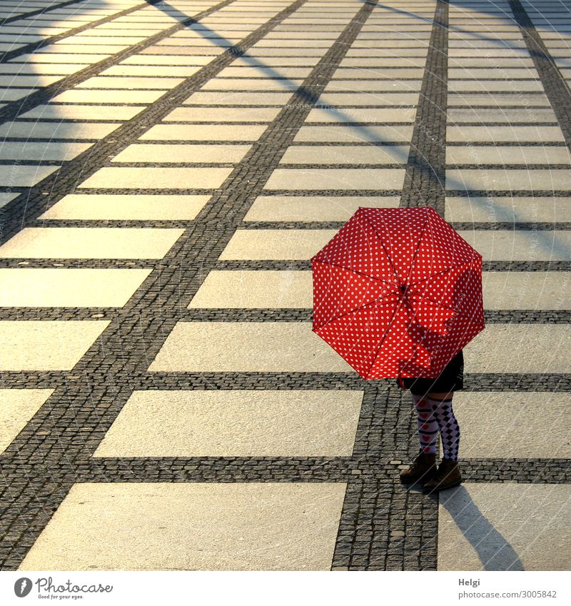 Weibliche Person steht mit einem rot-weiß gepunkteten Regenschirm und gemusterten Strümpfen auf einem großen gepflasterten Platz im Gegenlicht Mensch feminin