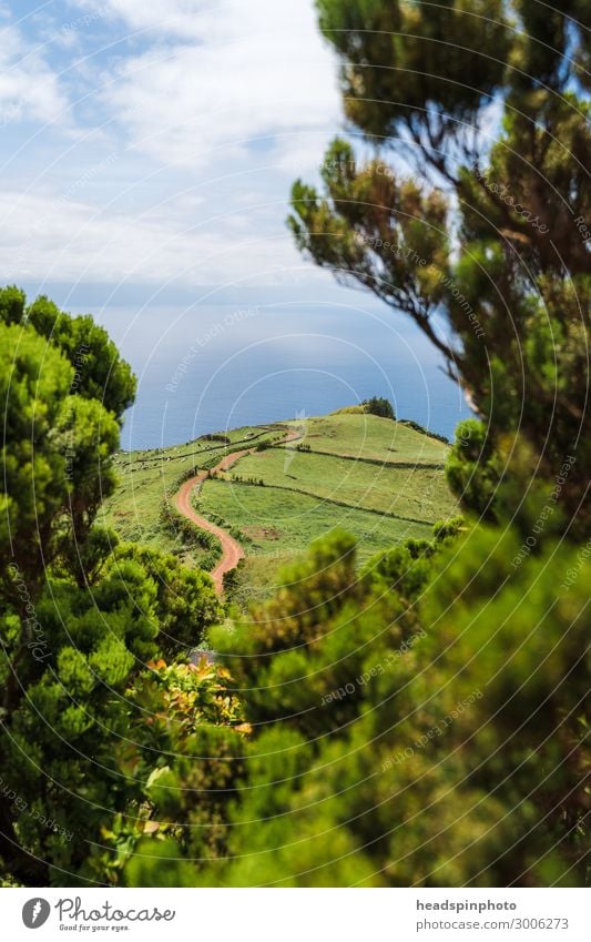 Grüne Hügellandschaft und Meer auf der Insel Soa Jorge, Azoren Ferien & Urlaub & Reisen Tourismus Ausflug Abenteuer Ferne Freiheit Expedition Umwelt Natur