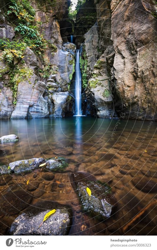 Malerischer Wasserfall mit glasklarem Wasser & Laub, Azoren Umwelt Natur Landschaft Pflanze Urelemente Sommer Herbst Urwald Felsen Schlucht Insel sao miguel