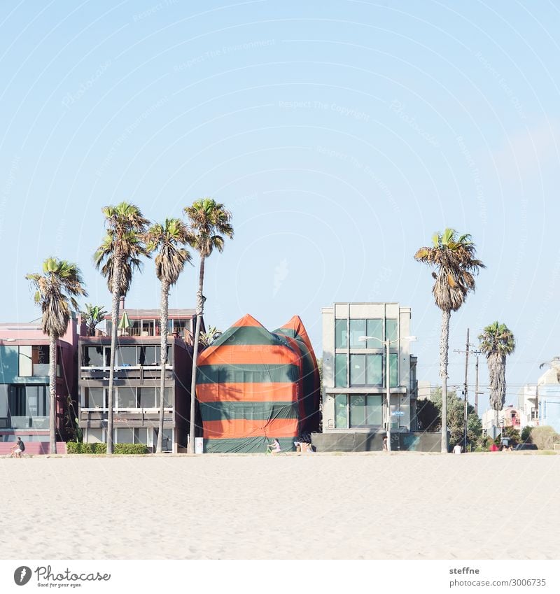 Around the World: Venice Beach Wolkenloser Himmel Schönes Wetter Haus Einfamilienhaus Traumhaus Fassade Erholung Ferien & Urlaub & Reisen Strand Palme