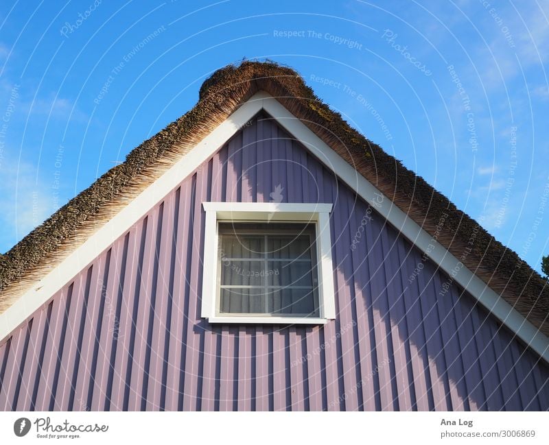 Farbspiel Wolken Sommer Zingst Deutschland Europa Dorf Menschenleer Haus Bauwerk Gebäude Architektur Fassade Fenster Dach Farbe Ferien & Urlaub & Reisen