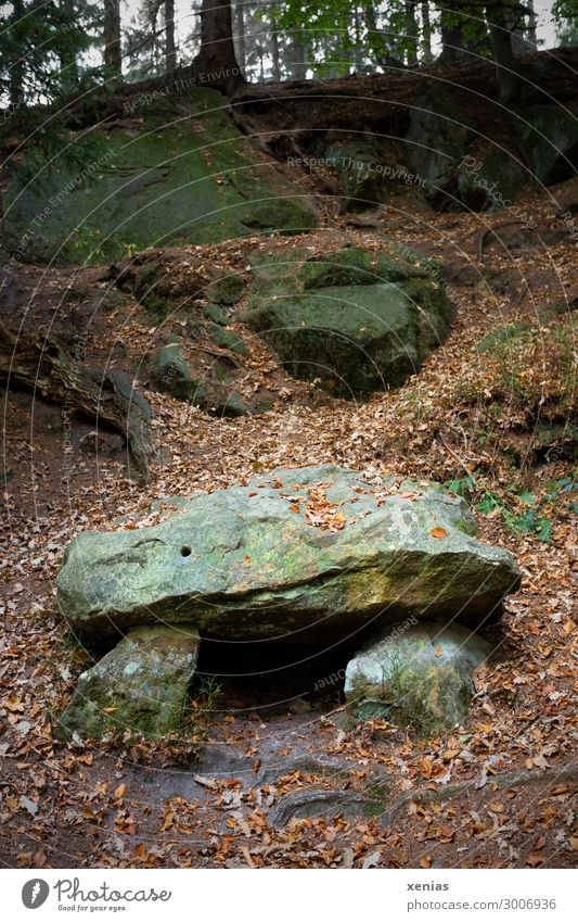 Hünengrab im Wald Natur Landschaft Herbst Bauwerk Stein alt Steinblock Außenaufnahme Textfreiraum oben Textfreiraum unten