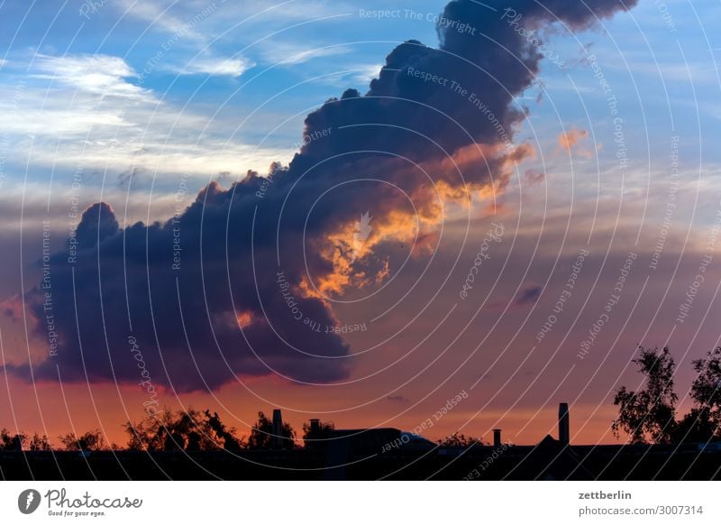 Große Wolke Himmel Himmel (Jenseits) Wolken Kumulus Regenwolken Wetter Klima Klimawandel Wetterumschwung Meteorologie Horizont Skyline Häusliches Leben