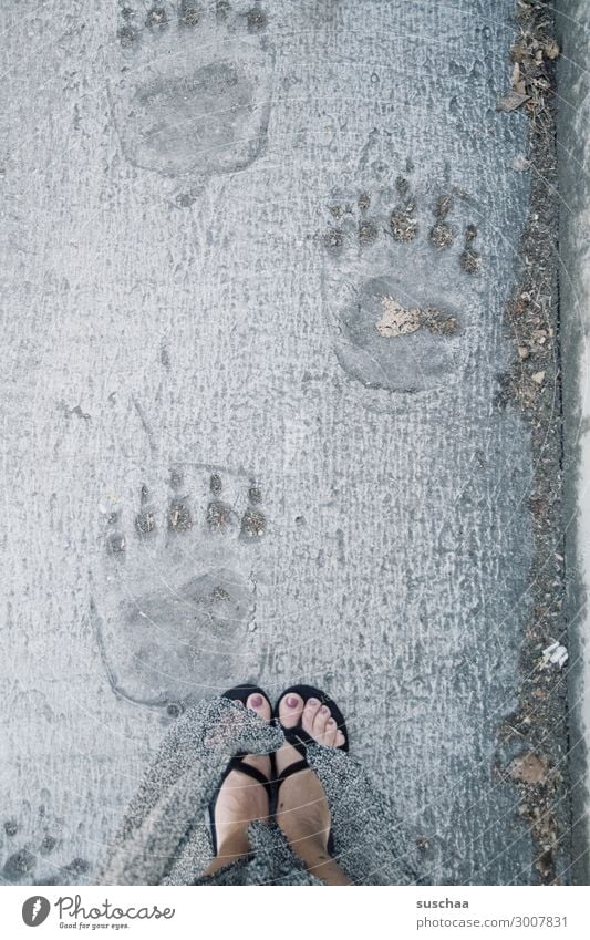 in wess' fußstapfen ich tret' Fußspur Füße Abdruck Bär Eisbär Frau Flipflops Wege & Pfade Nachfolge nachfolgen in Fußstapfen treten vergleichen Größenvergleich