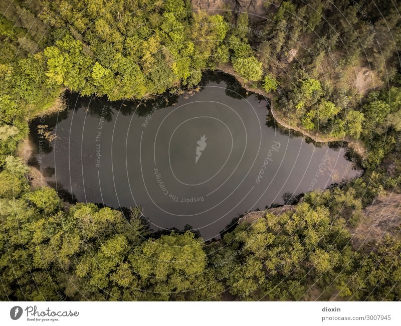 Waldsee Umwelt Natur Landschaft Pflanze Wasser Sommer Baum Berge u. Gebirge Pfälzerwald Seeufer natürlich Luftaufnahme Farbfoto Außenaufnahme Menschenleer Tag