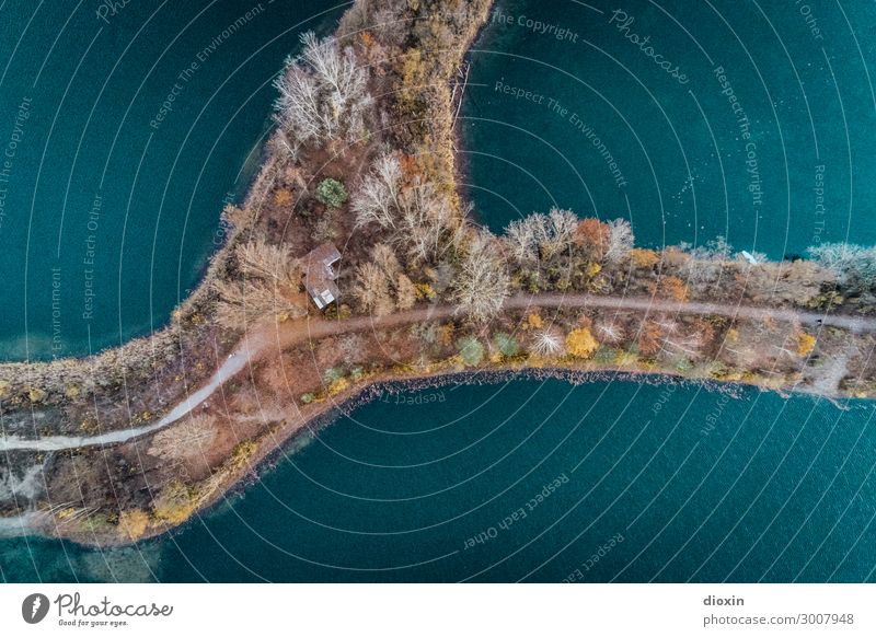 Landbrücke Umwelt Natur Landschaft Pflanze Urelemente Erde Wasser Baum Wellen Küste Seeufer Flussufer Baggersee nass natürlich Verbindung Übergang Farbfoto