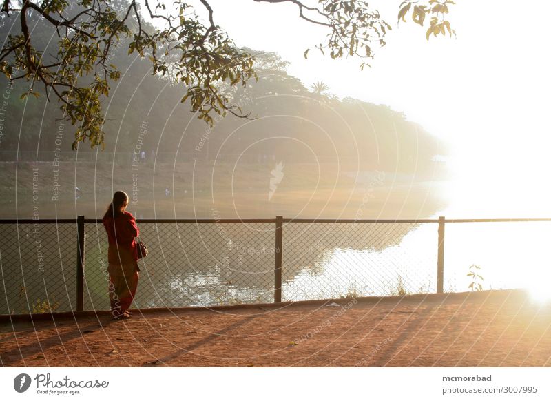 Leichter Ausbruch am nebligen Morgen Sightseeing Kind Junge Frau Jugendliche 1 Mensch 8-13 Jahre Kindheit Umwelt Natur Landschaft Nebel Baum Teich See Klima