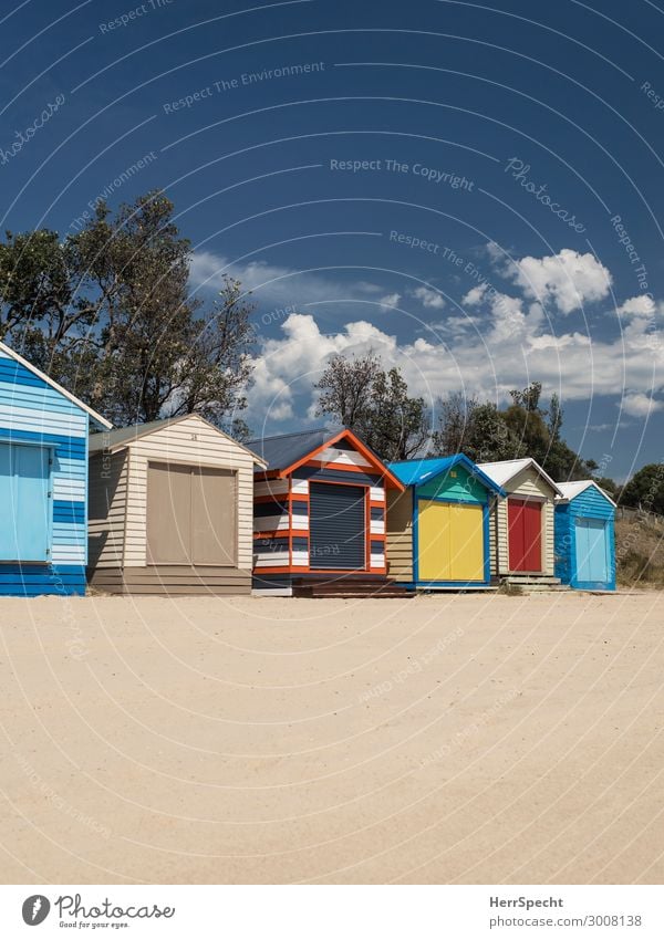 A day at the beach Ferien & Urlaub & Reisen Tourismus Sommerurlaub Sonnenbad Strand Meer Umwelt Natur Himmel Wolken Schönes Wetter Baum Melbourne Hütte