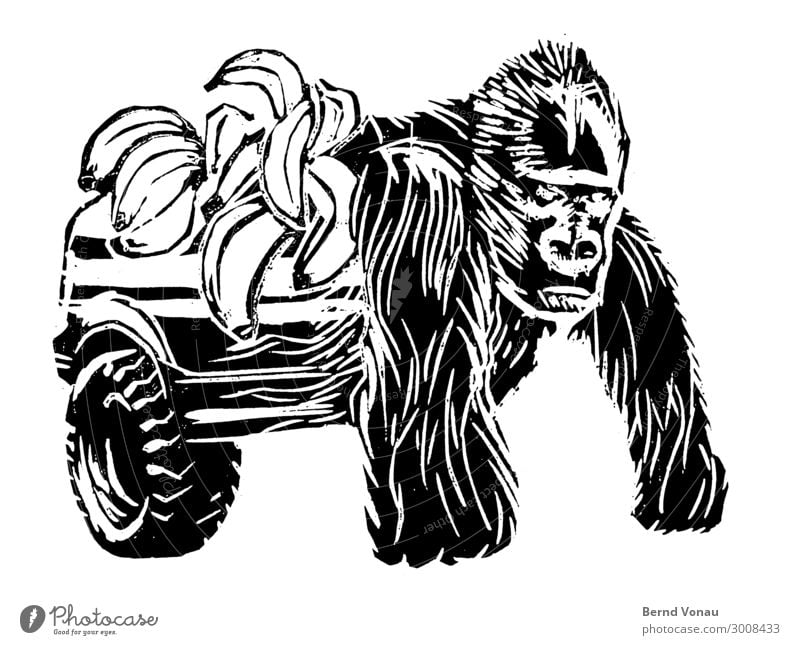 monkeybusiness Fahrzeug PKW Tier 1 Blick Güterverkehr & Logistik Pickup Banane Affen Gorilla Holzschnitt Collage Kraft Zwitter transformer silberrücken Frucht