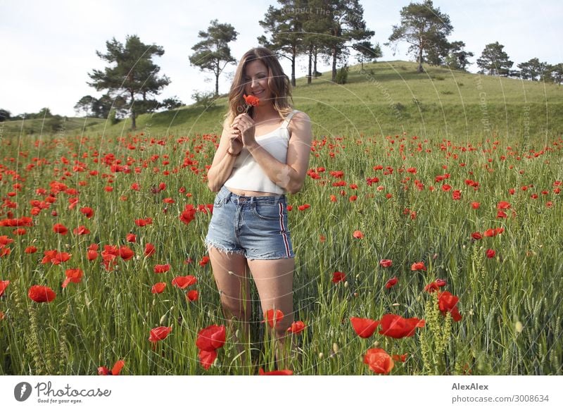 Junge Frau im Mohnfeld Lifestyle Freude Glück schön harmonisch Jugendliche 18-30 Jahre Erwachsene Landschaft Pflanze Blume Mohnblüte Feld Top Hotpants brünett