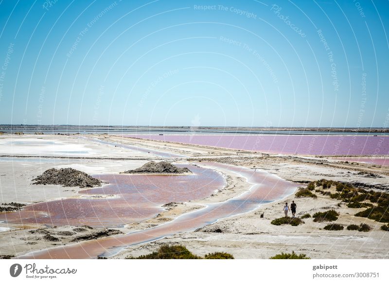 das Salz der Erde oder so Umwelt Natur Landschaft Pflanze Himmel Wolkenloser Himmel Sommer Klima Wetter Schönes Wetter Küste Strand Meer Saline außergewöhnlich