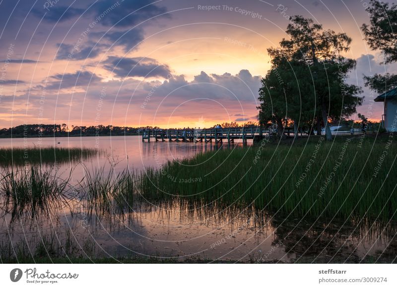 Sonnenuntergang über dem Sugden Regional Park in Naples, Florida schön Erholung ruhig Natur Landschaft Sonnenaufgang Teich Brücke blau gelb orange rosa