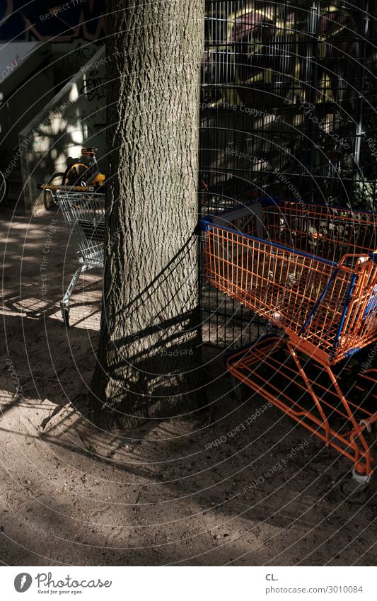 einkaufswagen kaufen Schönes Wetter Baum Einkaufswagen Handel Güterverkehr & Logistik Supermarkt Einkaufszone Einkaufscenter Farbfoto Außenaufnahme Menschenleer