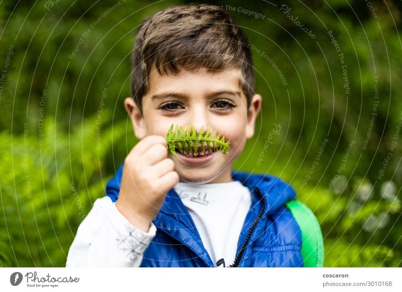 Kleiner Junge spielt mit Farnen im Wald. Lifestyle Freude Glück schön Freizeit & Hobby Ferien & Urlaub & Reisen Tourismus Abenteuer Sommer Berge u. Gebirge