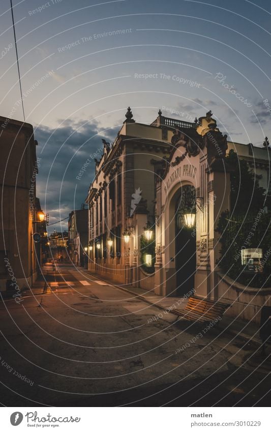 Abendspaziergang Kleinstadt Altstadt Menschenleer Haus Platz Gebäude Architektur Mauer Wand Fassade Tor Straßenbeleuchtung dunkel historisch blau braun grau