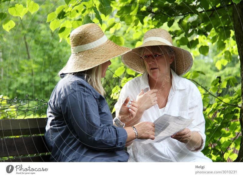 Zwei Frauen mit Sonnenhut sitzen draußen auf einer Bank und diskutieren Mensch Erwachsene Freundschaft 2 45-60 Jahre Umwelt Natur Pflanze Baum Blatt Park