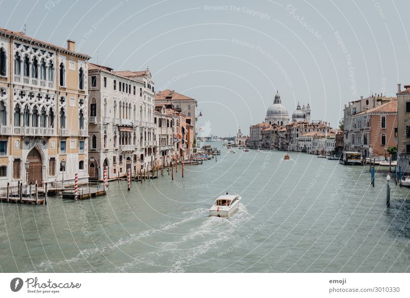 Venedig Canal Grande Flussufer Stadt Hauptstadt Stadtzentrum Skyline Haus Sehenswürdigkeit alt außergewöhnlich Tourismus Bootsfahrt Farbfoto Gedeckte Farben