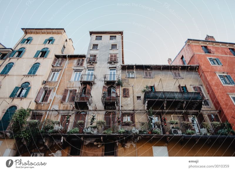 Verona Stadt Stadtzentrum Haus Gebäude Mauer Wand Fassade alt Tourismus Farbfoto Außenaufnahme Menschenleer Tag Froschperspektive