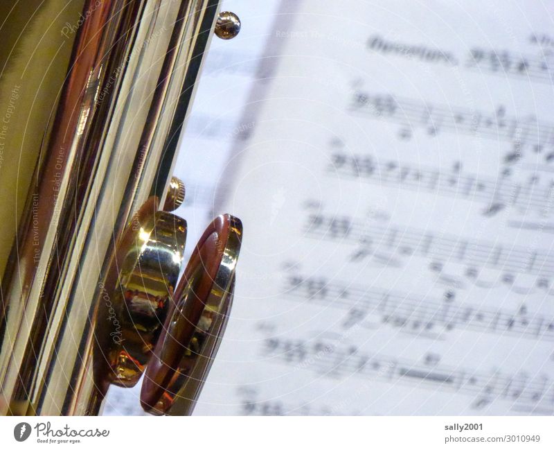 große Klappe... Musik Konzert Orchester Musiknoten Blasinstrumente Blechblasinstrumente Tuba Bassschlüssel Spielen ästhetisch außergewöhnlich glänzend gold