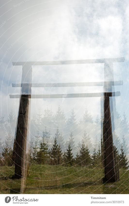 luftig | aber nicht lustig Umwelt Natur Landschaft Himmel Wolken Wald Schwarzwald Galgen Richtstätte Stein Holz warten bedrohlich dunkel blau braun grün schwarz