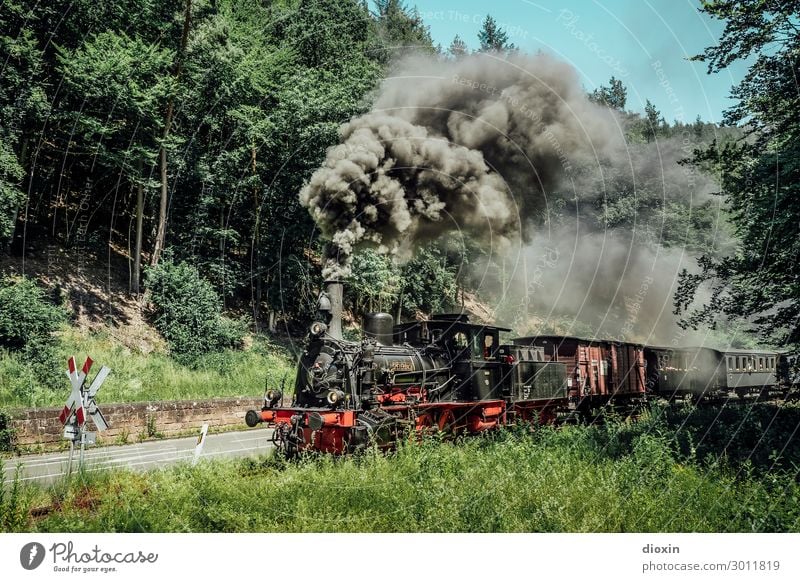 I hear the train a comin' Technik & Technologie Natur Landschaft Himmel Wolkenloser Himmel Sommer Baum Gras Wald Berge u. Gebirge Pfälzerwald Verkehr