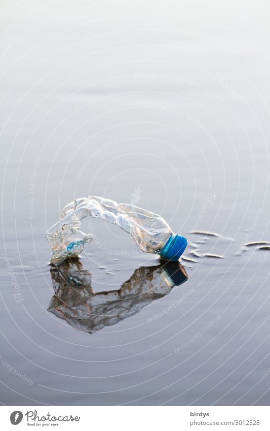 angespülte, alte Plastikflasche im Wasser am Strand, Spiegelung. Plastikmüll Petflasche Kunststoffmüll Umweltverschmutzung Meer Wattenmeer PE-Flaschen kaputt