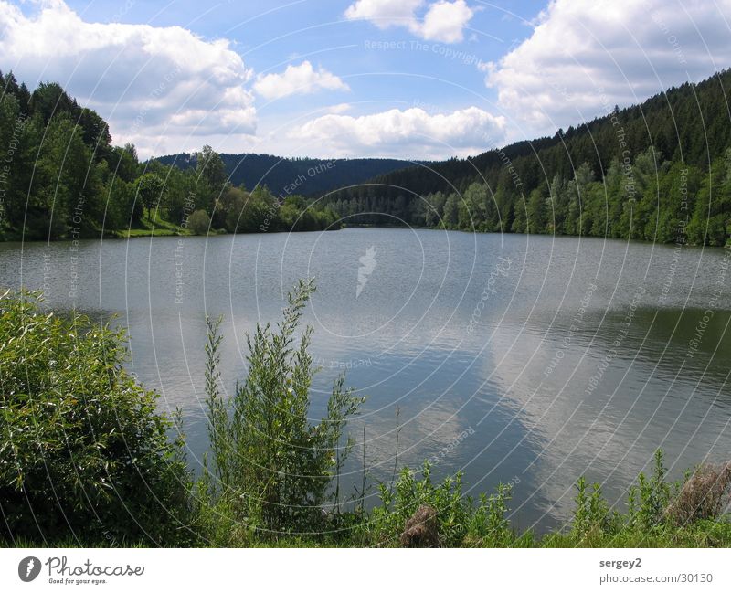 Idyllischer See ruhig Reflexion & Spiegelung Wasser Büme Himmel Idylle blau