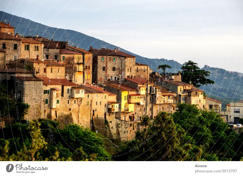 aufeinander bauen Sightseeing Schönes Wetter Hügel Berghang Toskana Italien Dorf Kleinstadt Altstadt Haus Fassade alt fest kuschlig schön gold grün orange