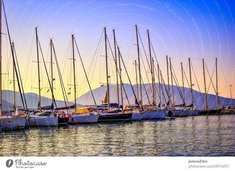 Segelboote im Hafen bei Sonnenuntergang schön Erholung Freizeit & Hobby Ferien & Urlaub & Reisen Tourismus Ausflug Abenteuer Kreuzfahrt Sommer Sommerurlaub Meer