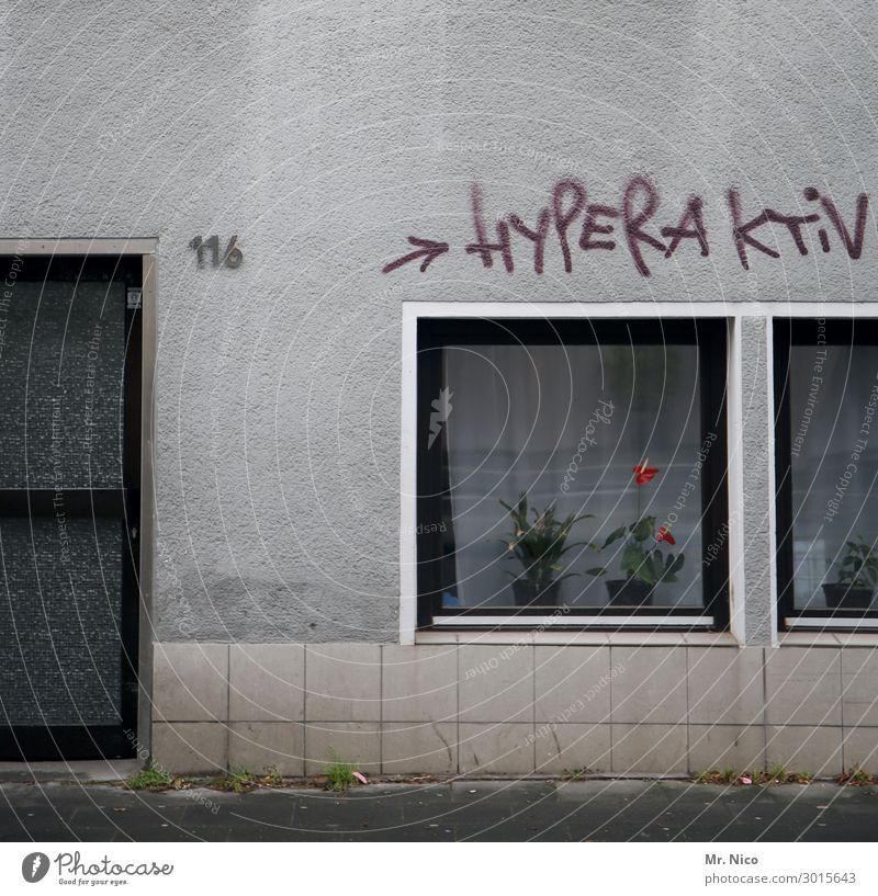 hyperaktiv Stadt Haus Gebäude Architektur Mauer Wand Fenster Tür grau Graffiti Ziffern & Zahlen Blumenvase Vandalismus beschmiert Stadthaus Bürgersteig Gardine