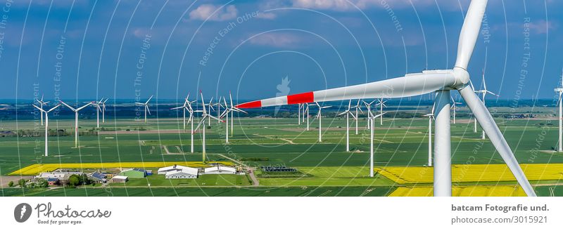 Windpark in Schleswig Holstein Luftbild Nahaufnahme Erneuerbare Energie Windkraftanlage Umwelt Himmel Sommer Klima Schönes Wetter Raps Feld Dorf Menschenleer