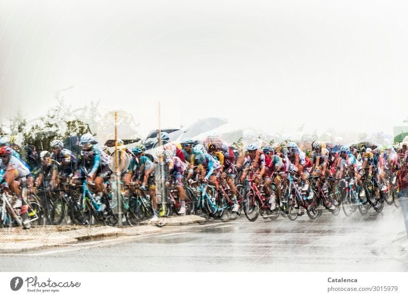 Tour sportlich Leben Sportler Sportmannschaft Fahrradfahren Radrennen maskulin Menschengruppe Sommer schlechtes Wetter Regen Dorf Straße Rennrad Regenschirm