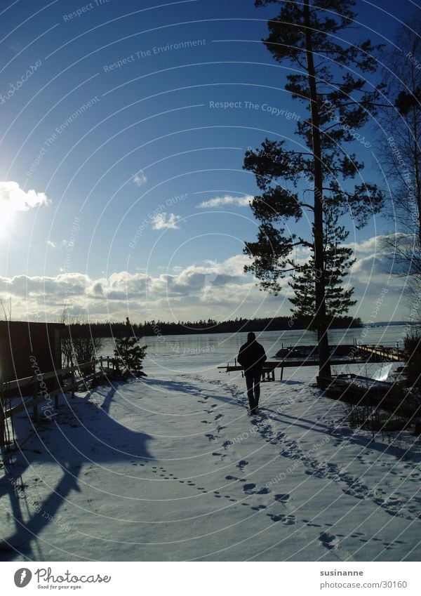 am vättern 3 Vätternsee Motala See Winter Kiefer Schnee Schweden Spuren