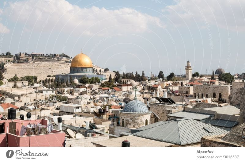 Jerusalem Palästina Israel Altstadt Kirche Moschee Sehenswürdigkeit Wahrzeichen Felsendom Ölberg Al-Aksa Moschee Aggression Partnerschaft chaotisch Erholung