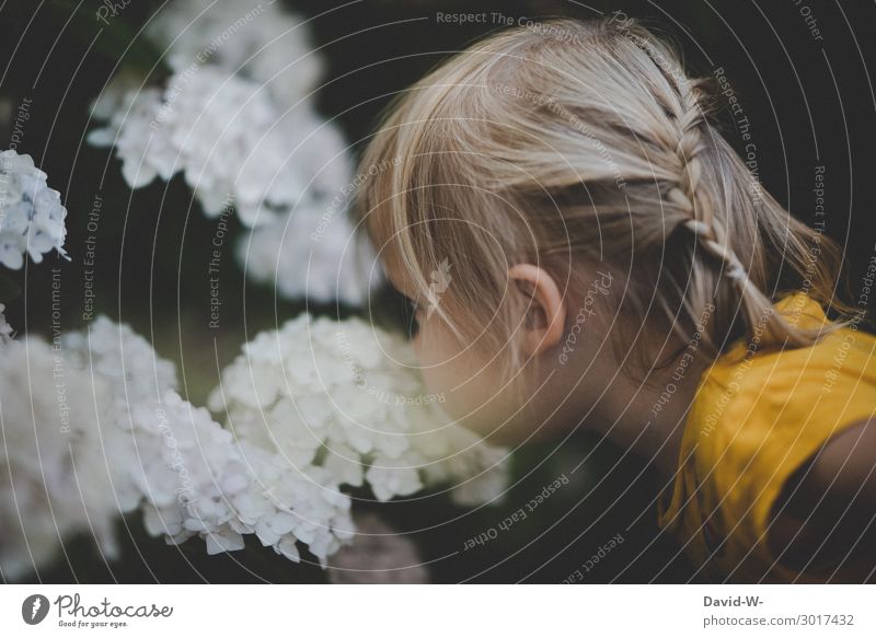 wie das duftet Mensch feminin Kind Kleinkind Kindheit Leben Kopf Gesicht Nase 1 1-3 Jahre Umwelt Natur Sommer Klima Klimawandel Schönes Wetter Pflanze Blüte