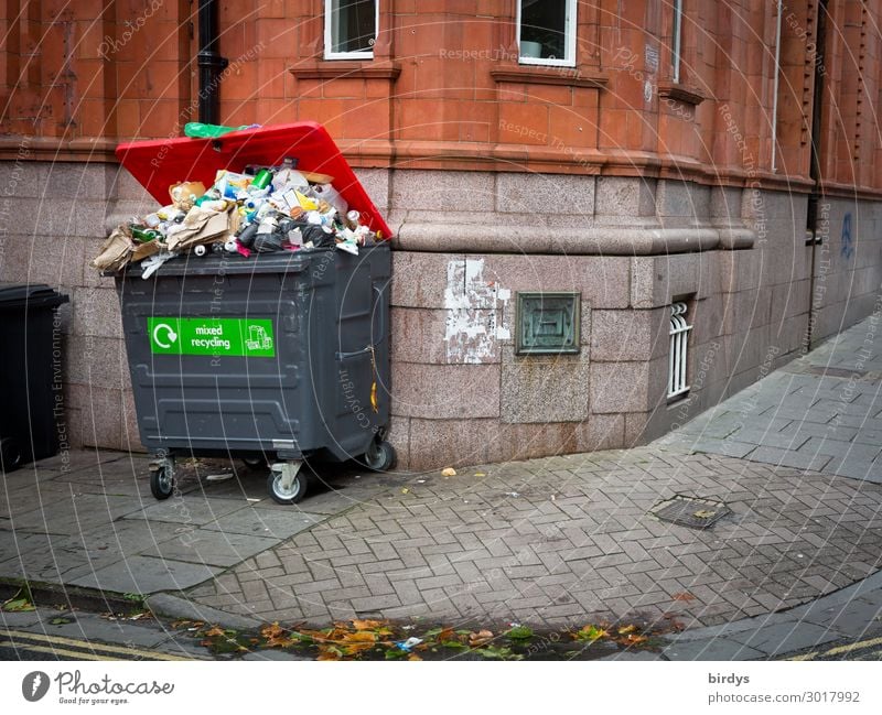 Müllproblematik Dienstleistungsgewerbe Müllbehälter Müllabfuhr Müllentsorgung Stadt Menschenleer Haus Fassade Wege & Pfade Bürgersteig warten authentisch Ekel