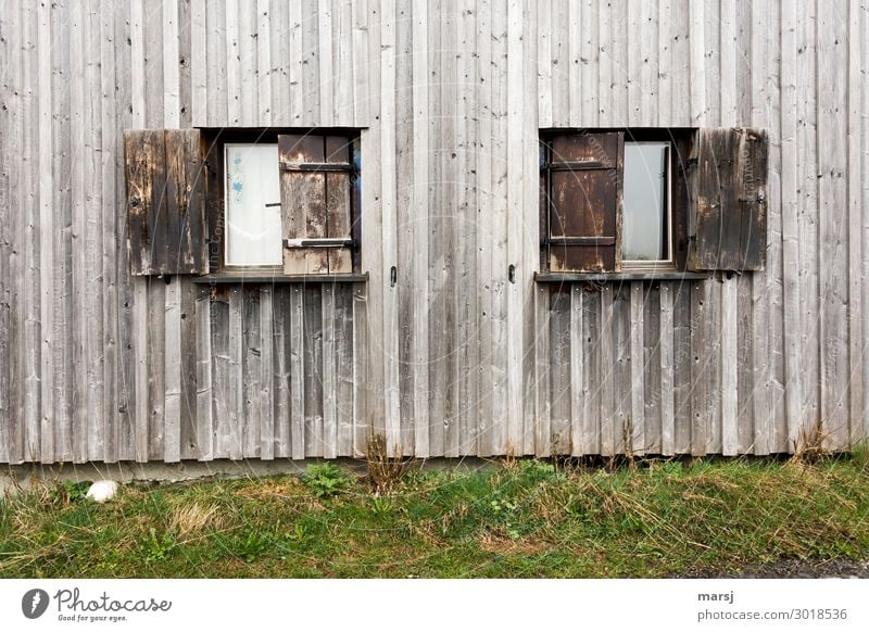 Aber mit Liebe verziert Mauer Wand Fenster Holzwand Fensterladen alt Zusammensein braun grün verwittert Wiese vertikal Symmetrie Idylle schäbig Farbfoto