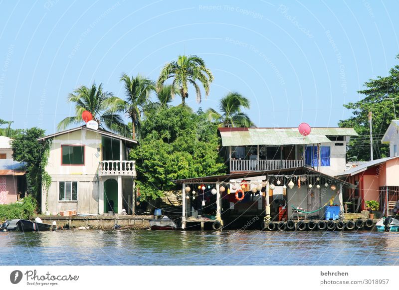 leben am fluss, am tortuguero Costa Rica Außenaufnahme Farbfoto Menschenleer Natur Sonnenlicht Ferien & Urlaub & Reisen Abenteuer Ausflug Tourismus Freiheit