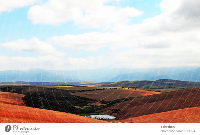 rote erde Kontrast Licht Tag Menschenleer Außenaufnahme Klimawandel Umweltschutz traumhaft Farbfoto Dürre Fernweh Landwirtschaft Südafrika fantastisch Himmel