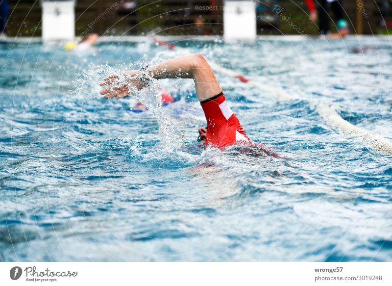 Triathlon - Schwimmer Sport Fitness Sport-Training Sportler Schwimmen & Baden Sportstätten Schwimmbad Mensch maskulin Mann Erwachsene 1 30-45 Jahre 45-60 Jahre