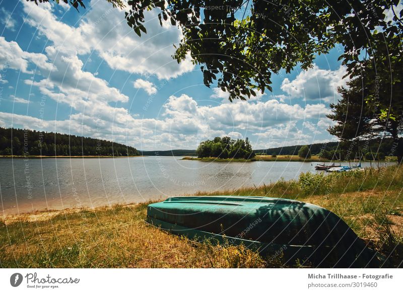 Blick über den See Ferien & Urlaub & Reisen Tourismus Ausflug Sommer Sommerurlaub Natur Landschaft Wasser Himmel Wolken Sonnenlicht Schönes Wetter Baum Seeufer