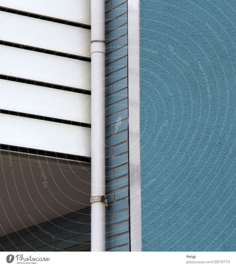 Fassade eines Hauses mit blauer Wand, weißer Balkonverkleitung und weißem Fallrohr Mauer Holz Metall Kunststoff Linie ästhetisch authentisch außergewöhnlich