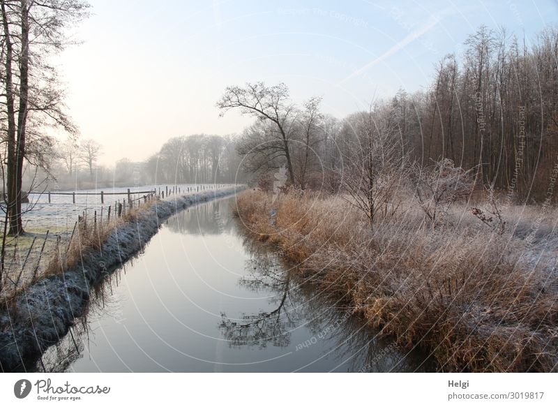 frostige Winterlandschaft am Morgen mit Fluss, Bäumen, Gräsern und Zaun Umwelt Natur Landschaft Pflanze Wasser Himmel Eis Frost Baum Gras Sträucher Feld Wald