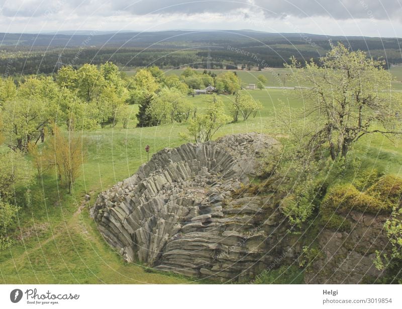 1800 | Landschaftsaufnahme mit Basaltfächer auf dem Hirtstein im Frühling Umwelt Natur Pflanze Baum Gras Berge u. Gebirge Erzgebirge außergewöhnlich einzigartig